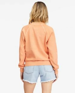 Best reviews of 🎉 Billabong Shrunken Crew Pullover Sweatshirt BUTTERMILK ⭐ -Womens-clothing Shop abjft00324 billabongw gin bck1 1