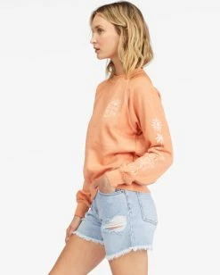 Best reviews of 🎉 Billabong Shrunken Crew Pullover Sweatshirt BUTTERMILK ⭐ -Womens-clothing Shop abjft00324 billabongw gin sd1 1