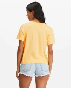 Wholesale 🔥 Billabong Sunrise Scenic Vintage Cut T-Shirt BUTTERMILK 🔔 -Womens-clothing Shop abjzt00983 billabongw yej0 bck1 1